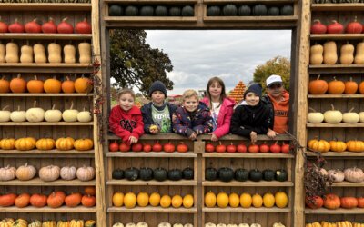 Školní družina v Dýňovém světě